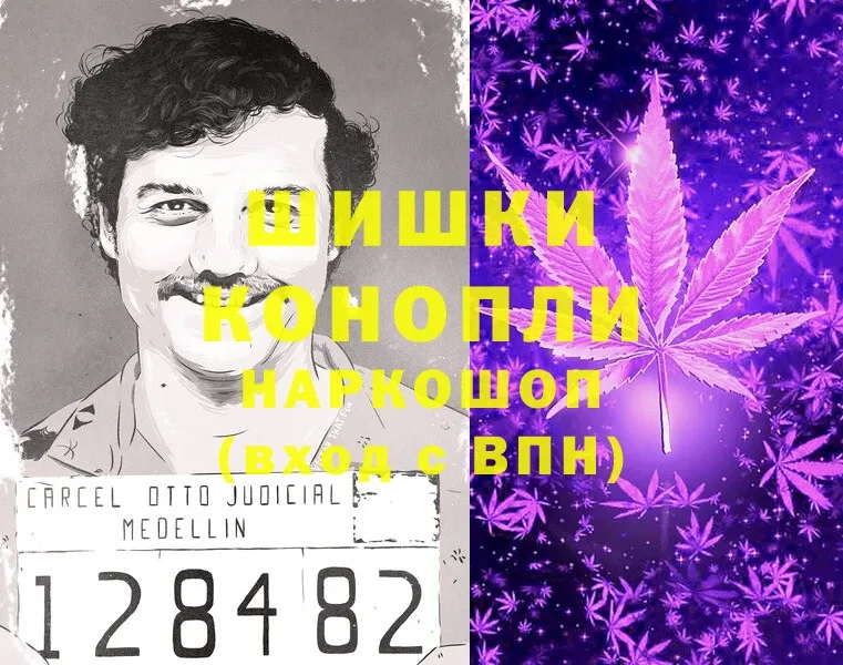 купить   Любим  Марихуана Bruce Banner 